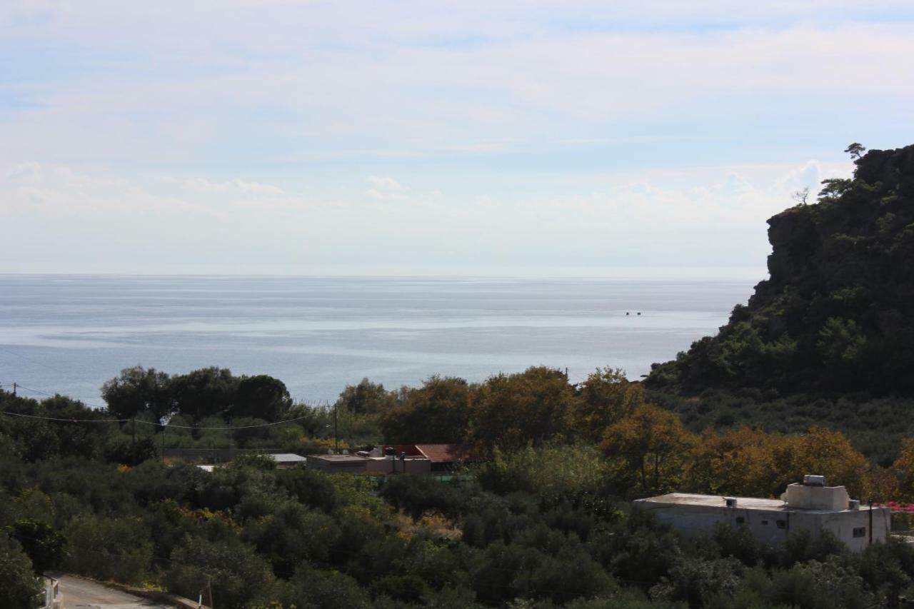 Aaron Studios Apartments Agia Fotia  Exterior foto